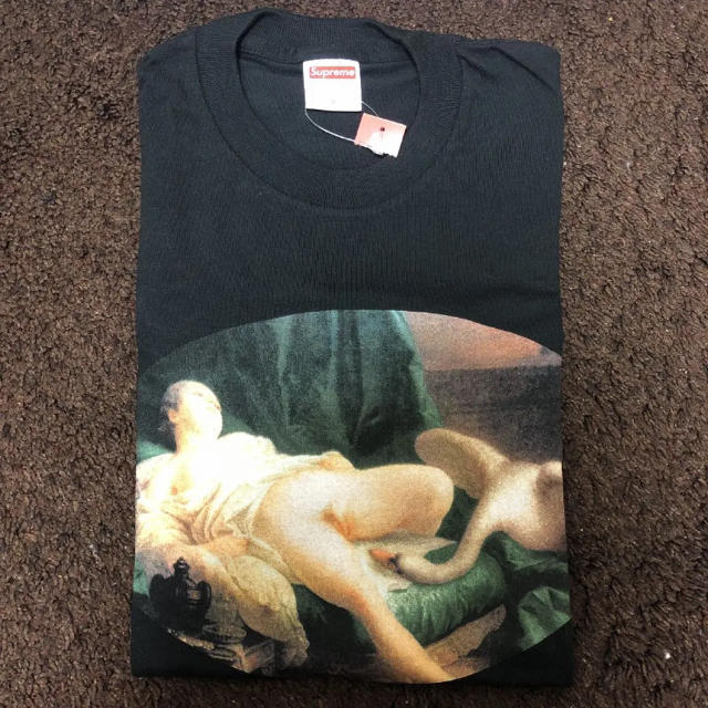 Supreme(シュプリーム)のsupreme Tシャツ  Leda And The Swan Tee Sサイズ メンズのトップス(Tシャツ/カットソー(半袖/袖なし))の商品写真