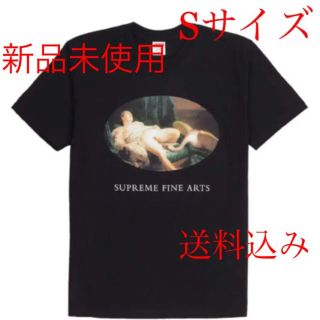 シュプリーム(Supreme)のsupreme Tシャツ  Leda And The Swan Tee Sサイズ(Tシャツ/カットソー(半袖/袖なし))