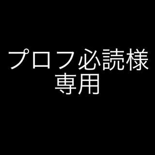 プロフ必読様専用(その他)