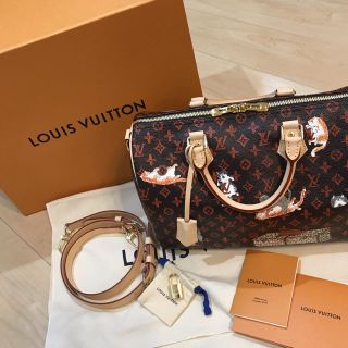 ルイヴィトン(LOUIS VUITTON)のルイヴィトン 正規品 新品未使用 入手困難(ハンドバッグ)