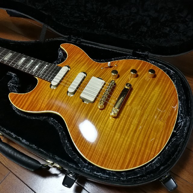 希少 Guardian custom guitar, Accord HC付属