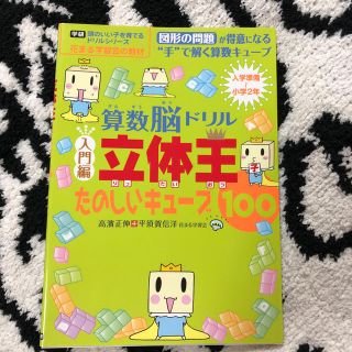 アナップキッズ(ANAP Kids)の算数脳ドリル 立体王 入門編 たのしいキューブ100  (訳あり)花まる学習会(知育玩具)