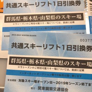 群馬、栃木、山梨 共通スキー場リフト券2枚(スキー場)