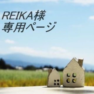 「REIKA様専用ページ」(エクササイズ用品)