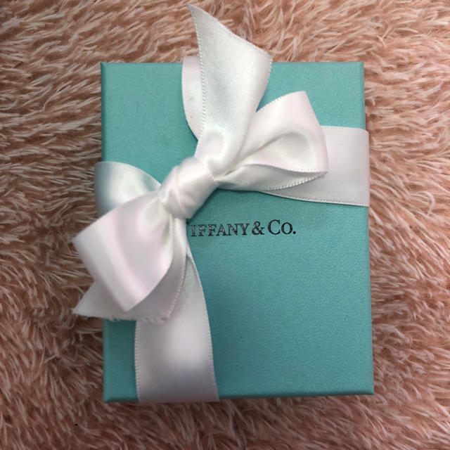 Tiffany & Co.(ティファニー)のTiffany & Co. レディースのバッグ(ショップ袋)の商品写真