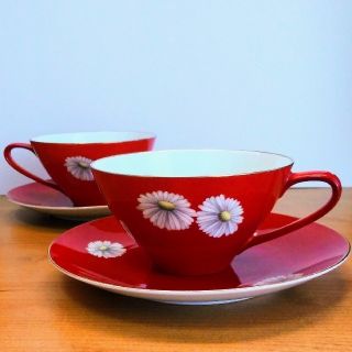 Noritake - オールドノリタケ 朱菊 カップ&ソーサ 2客セットの通販