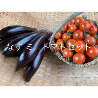 なす ミニトマトセット(野菜)