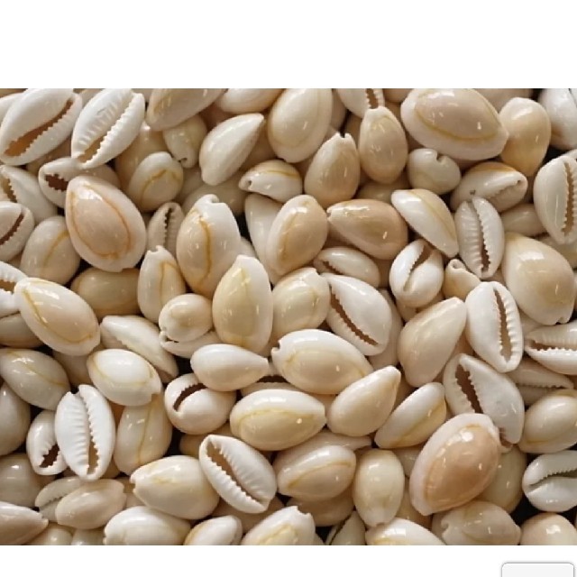 バニラ様専用 ハンドメイドのアクセサリー(その他)の商品写真