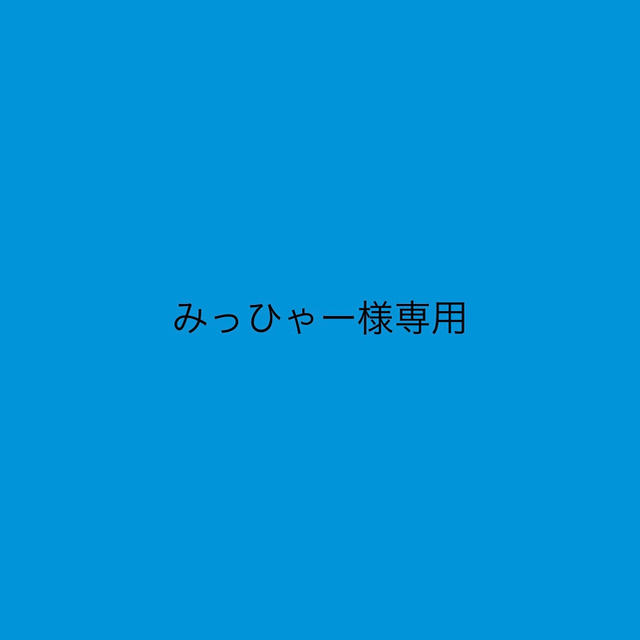 みっひゃー様専用 その他のその他(その他)の商品写真