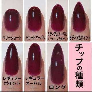 ネイルチップ ジェルネイル asmnail コスメ/美容のネイル(つけ爪/ネイルチップ)の商品写真