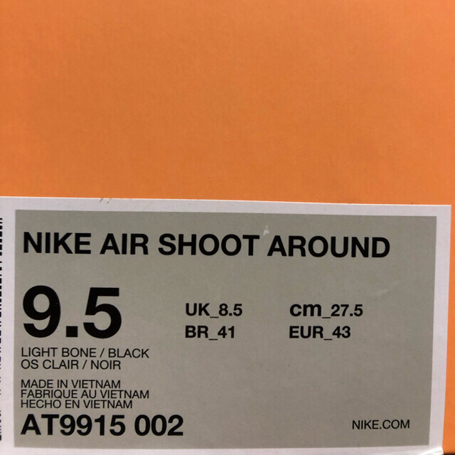 Fear of god Nike Air shoot around us9.5 2