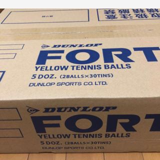 ダンロップ(DUNLOP)のDUNLOP FORT （フォート）テニスボール  1箱30缶60球入り 新品(ボール)