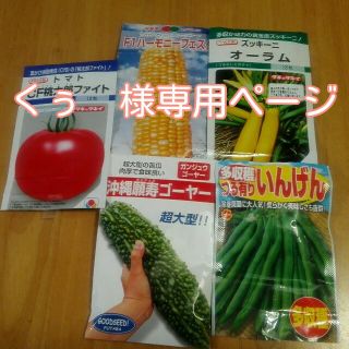 くぅ様　専用ページ【野菜の種7種類　￥555】(野菜)