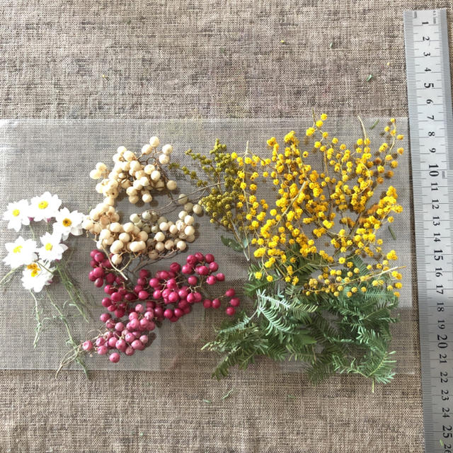 ペッパーベリー2色とミモザのドライフラワーと花かんざしセット ハンドメイドのフラワー/ガーデン(ドライフラワー)の商品写真