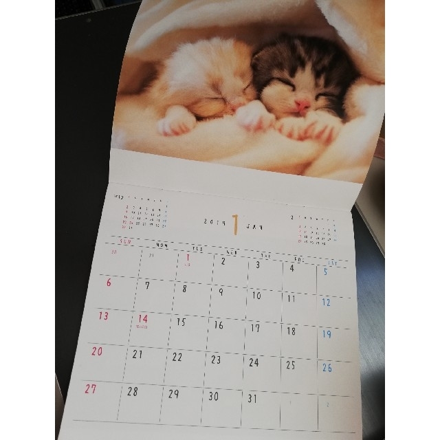 ソニー生命 壁掛け カレンダー 猫日和 19の通販 By マメぴこ S Shop ラクマ