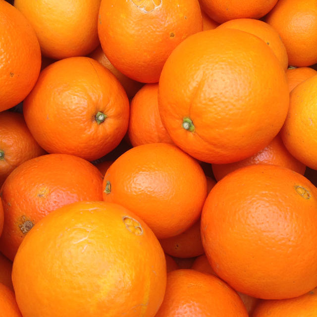 ネーブルオレンジ 10kg 食品/飲料/酒の食品(フルーツ)の商品写真