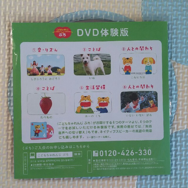 こどもちゃれんじ  ぷち  たいけんDVD