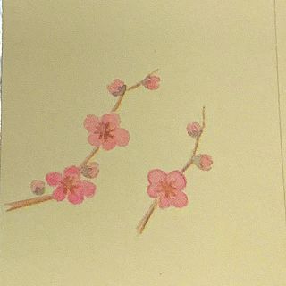 新品 鳩居堂 紅梅 封筒(カード/レター/ラッピング)