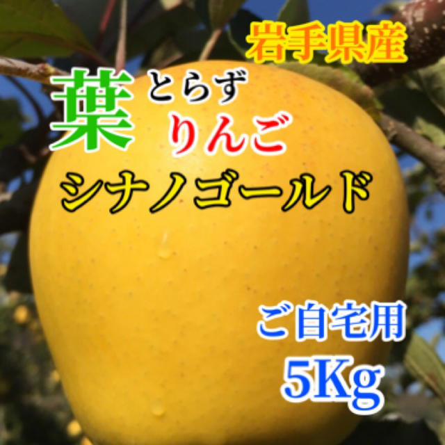 【送料込】葉とらずりんご シナノゴールド バラ詰め15〜18個前後 約5kg  食品/飲料/酒の食品(フルーツ)の商品写真