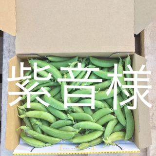 鹿児島産スナップエンドウ500g^_^(野菜)