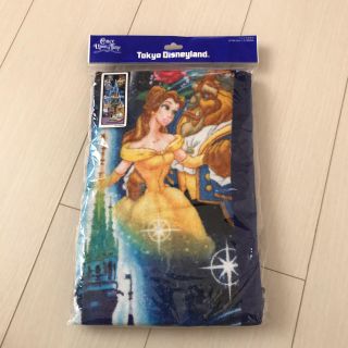 ディズニー(Disney)の本日限定価格★新品【Disney resort】ディズニーランド フェイスタオル(タオル/バス用品)