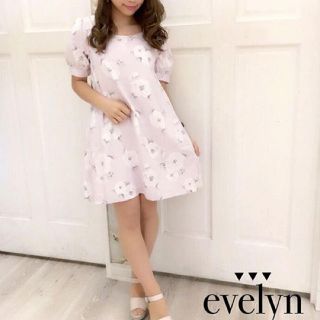 エブリン(evelyn)の【evelyn】花柄Aラインワンピース(ひざ丈ワンピース)