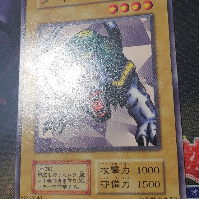 遊戯王 初期 スターター限定 タートルタイガー 遊戯王 初期 スターター限定 タートルタイガー