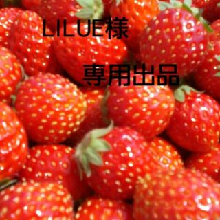 LILUE様専用出品(その他)