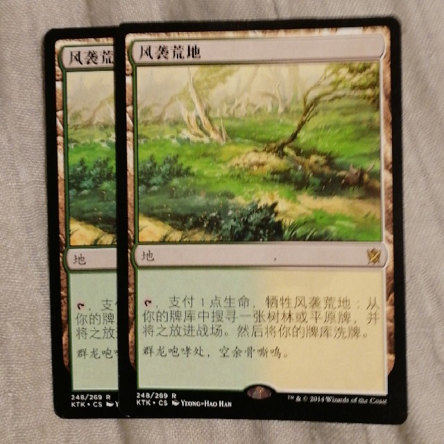 マジック：ザ・ギャザリング(マジックザギャザリング)のMTG  吹きさらしの荒野　２枚 エンタメ/ホビーのトレーディングカード(シングルカード)の商品写真