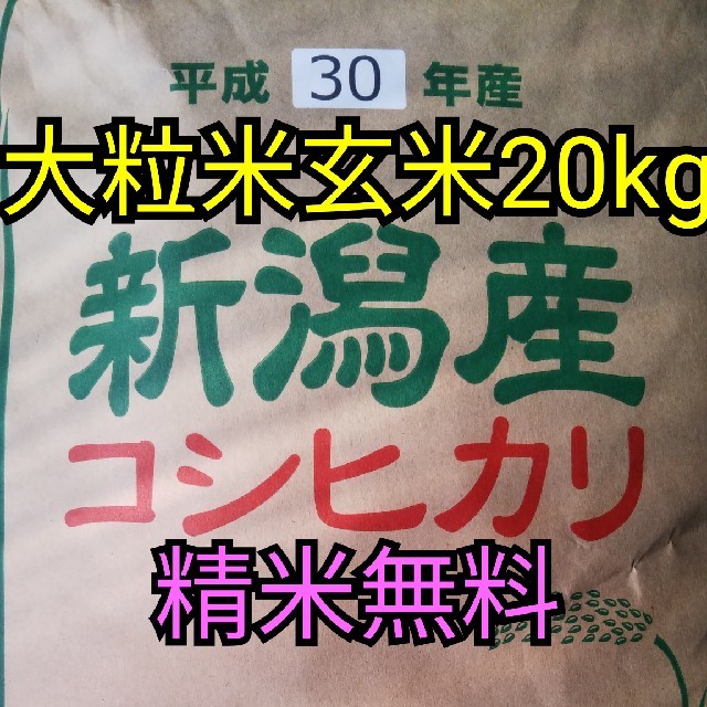 20kg産地【即購入OK】30年産新潟コシヒカリ大粒米20キロ玄米　精米無料　おまけ付!