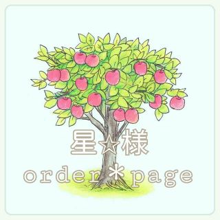 星☆様＊orderpage(その他)