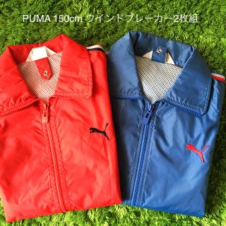 プーマ(PUMA)のPUMA 150cmウインドブレーカー 2枚組(その他)