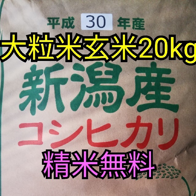 即購入OK】30年産新潟コシヒカリ玄米20キロ大粒米　米/穀物　精米無料　おまけ付!