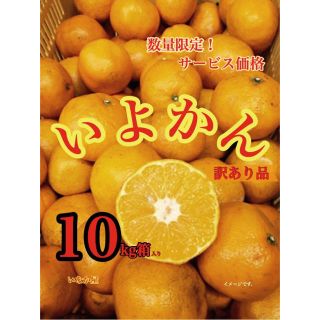 いよかん 訳あり品 数量限定 早い者勝ち 残り少し セール(フルーツ)