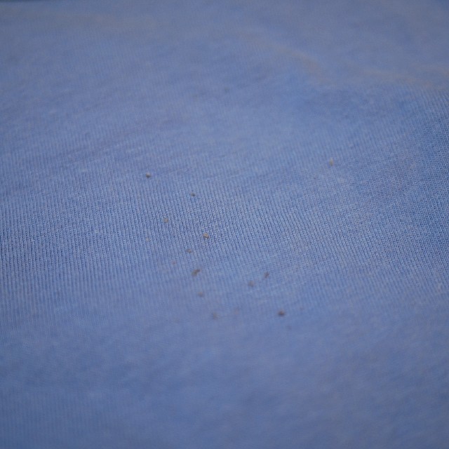 ベルメゾン(ベルメゾン)のベルメゾン トップス 半袖Tシャツ 70 キッズ/ベビー/マタニティのベビー服(~85cm)(Ｔシャツ)の商品写真