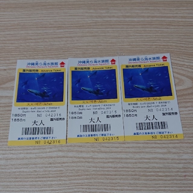 沖縄美ら海水族館チケット