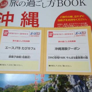 ばん様専用　DINO恐竜パーク&御菓子御殿(名護店)１グループ全員入場券(レストラン/食事券)