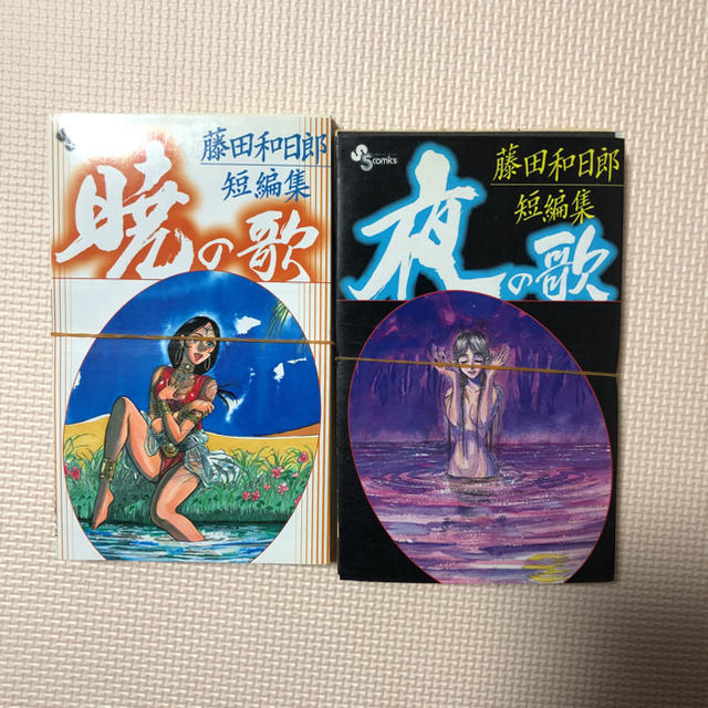 小学館 裁断済 同梱可 自炊 藤田和日郎 短編集 2冊セットの通販 By Mahi ショウガクカンならラクマ 小学館 裁断済 同梱可 自炊 藤田和日郎 短編集 2冊セットの通販 By Mahi ショウガクカンならラクマ