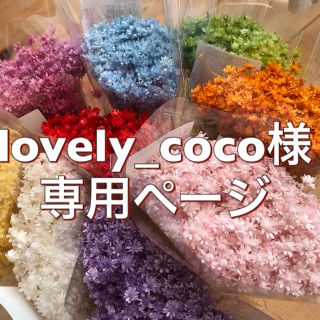 lovely_coco様専用ページ(ドライフラワー)