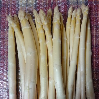 佐賀県産ホワイトアスパラ1キロ(野菜)