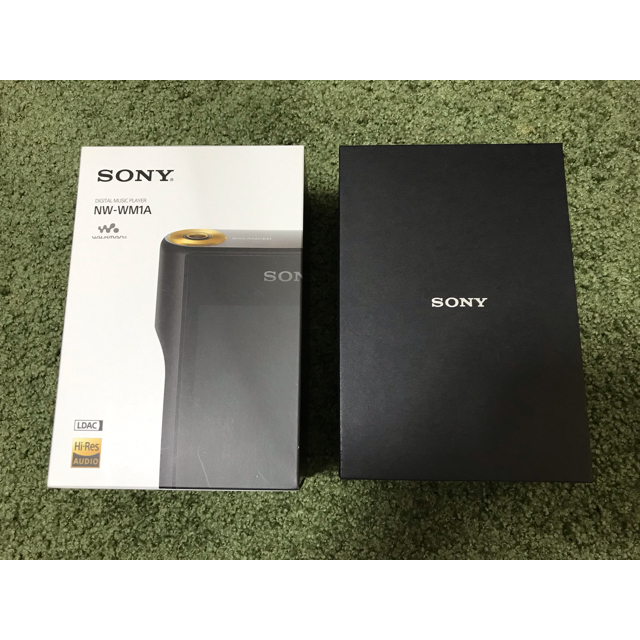 SONY WALKMAN NW-WM1A