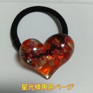 レジン　星光様専用ページ(ヘアアクセサリー)