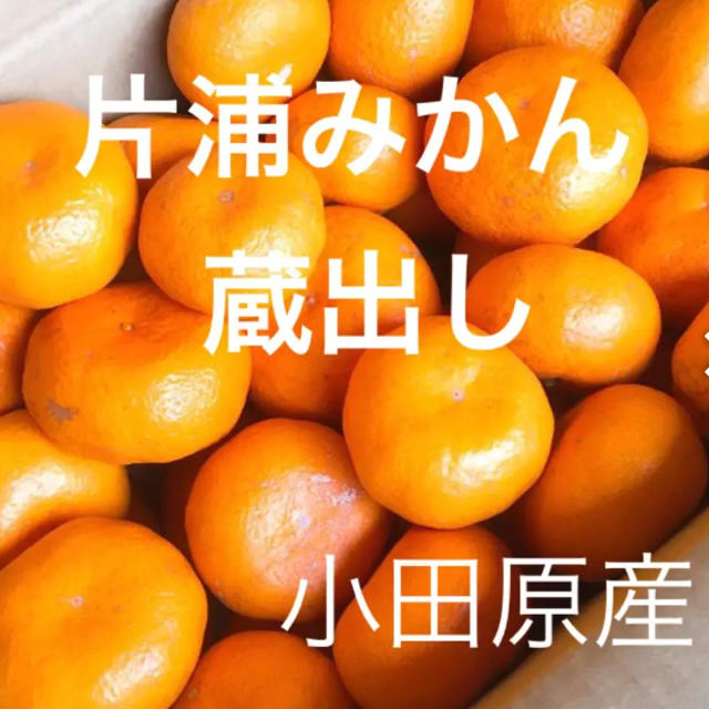 片浦みかん 蔵出し 小田原産  5㎏ 産地直送   送料込み 食品/飲料/酒の食品(フルーツ)の商品写真