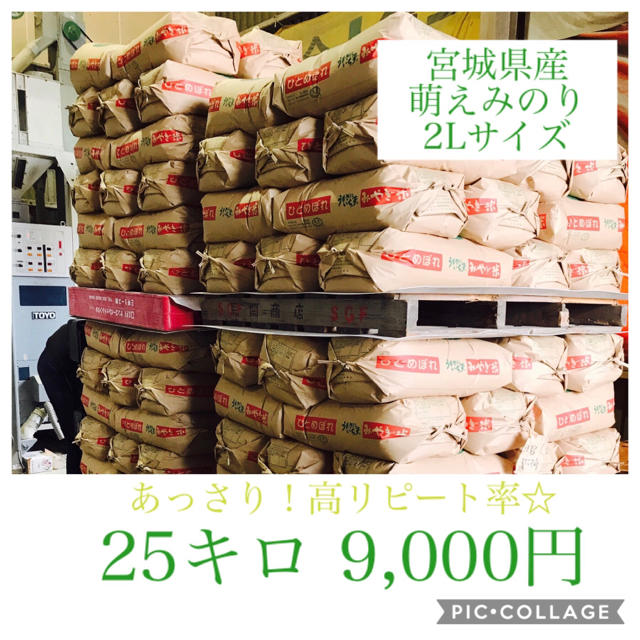 国内最安値！ 玄米24キロ☆きょん☆宮城県産萌えみのり20キロ 米/穀物