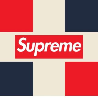 シュプリーム(Supreme)のウェッサイ様専用2(バッグパック/リュック)