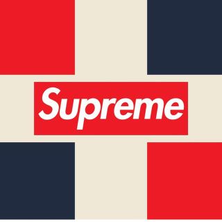 シュプリーム(Supreme)のウェッサイ様専用1(バッグパック/リュック)