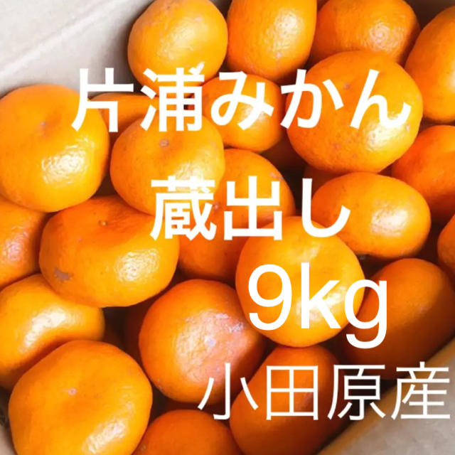 片浦みかん 蔵出し 小田原産 9㎏ 産地直送   送料込み 食品/飲料/酒の食品(フルーツ)の商品写真