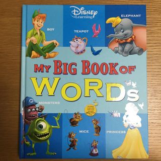 ディズニー(Disney)の値下げ！MY BIG BOOK OF WORDS ディズニー英語システム DWE(洋書)