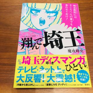 タカラジマシャ(宝島社)の飛んで埼玉(その他)