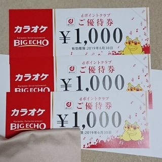 カラオケビックエコー　優待券 6000円分(その他)